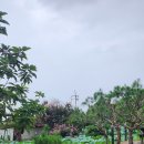 바람솔길펜션 이미지