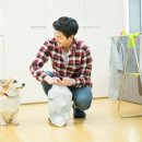 비타민 동물병원 이미지