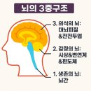 안동과학대학 | 『치유보감』: 당신의 삶을 다시 피어나게 할 생명의 안내서