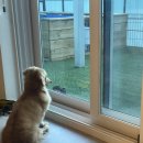 가평더뮤즈펜션 이미지