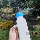 [ 제주도 ] 2021.10 제주 3박 4일 여행기 part1. (SK 렌터카,장모식탁,제주투어패스,아침미소목장...
