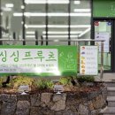 싱싱과일 이미지