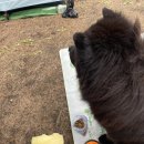 성산포수협표선복지회관목욕탕 이미지