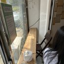 수원 사주카페 타로카페 베르 솔직후기