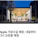 애플 가로수길 매장 오픈 이미지