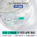 조군헤어 | 군마트샴푸 추천 직접 써보니 | 탈모샴푸까지 솔직 후기 (라보에이치)