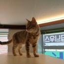 코코호텔 이미지