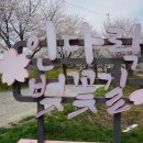 인다락벚꽃길 이미지