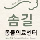 하나동물의료센터 이미지