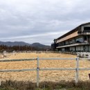 그랑프리 승마파크 이미지