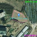 안성면010 이미지