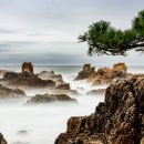 경정리 (차유마을) 해안가 | [경상북도 영덕군] 경정리 백악기 퇴적암 (경북 동해안 국가지질공원)