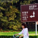 맘에드는광고 이미지