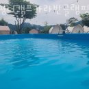캠핑장 추천 가평더캠프카라반글램핑 후기 가격 예약 찐 후기 리뷰