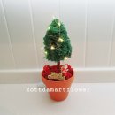 모암초교 | [공지] 크리스마스를 담은 포인세티아 센터피스 원예키트 후기