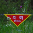 생창리 이미지