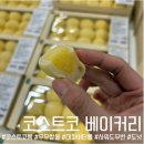 버터플레인 | 코스트코 베이커리 신상 우유찰볼 시식 후기! 대파버터롤 가격, 플레인사워도우번까지
