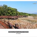 추동 호반길 이미지