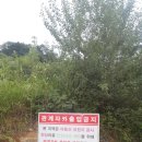 광주 광산구]올레무인호텔~광주여대~동자봉(154m)~물넘어고개~어등산 CC입구~동자봉~올레무인호텔 회귀하기(2015/8/10/월 아침) 이미지