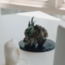 블랙스톤