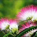 어둠 속에서도 기다려야 할 아침 있뜻이 이미지