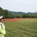 아름여행사 - 화성시 삼천병마로 1276 | 아름여행사