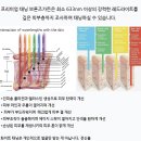 잠실 유일 헬리오스 태닝샵, 브론즈가든 화이트태닝 후기