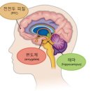 두뇌과학학원 이미지