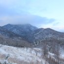 왕산골식당 이미지