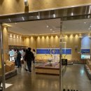 아이점프 세종점 | 세종 아이랑 가볼만한곳 추천｜애니멀스타 실내 동물체험 후기