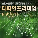 (주)파인적송 | 송침유로 만든 더파인솔잎증류농축액으로 건강케어 와...확실히 효과가 느껴졌어요!