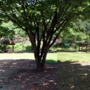 불정자연휴양림 이미지