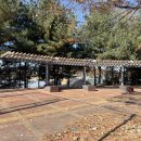 백석생활체육공원 리틀야구장 이미지