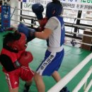 지문실복싱클럽 이미지