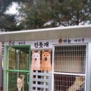 수룡모텔 이미지