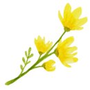 황금시래기밥도둑코다리찜 이미지