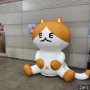 이메이드 | 내 생에 첫 일산 킨텍스 궁디팡팡 캣페스타 방문 후기