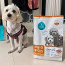 주식회사이롬 | 강아지가 잘 먹는 사료 찾는다면! 피니키 더컴플리트프로 덕앤치킨 후기