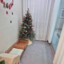 무궁화건영 | 호계동애견미용 예쁘게 잘해주는 곳 친절 꼼꼼 케어 후기&#34;몽라인&#34;