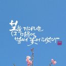 (주)행복한아침 이미지