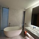 나무호텔 이미지