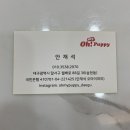 오마이퍼피 이미지
