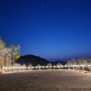 디캠 고흥 이미지