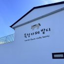 성산목장 | 제주 아이와 가볼만한 곳 제주승마체험 성산승마 목장카페 밭디 솔직후기 내돈내산