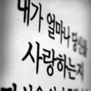 원진민박 이미지