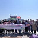 (주)하나관광