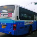 사파동211 이미지