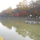 지천생태길 이미지