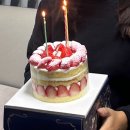 나폴레옹과자점 딸기케이크 크리마스케이크, 잠실 모어댄버터 카페 후기