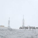 우암유통